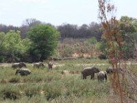 Marion, Romane South Africa 2014 (11 of 63) : KNP Skukuza area, Marion visit